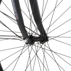 FISCHER Fahrrad CITA 2.1i (2022), Pedelec -Philip Hye Geschaft FISCHER Fahrrad CITA 2 1i 2022 Pedelec@@1789161 12