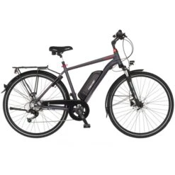 FISCHER Fahrrad Viator 1.0 Herren (2022), Pedelec
