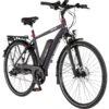 FISCHER Fahrrad Viator 2.0 Herren (2020), Pedelec -Philip Hye Geschaft FISCHER Fahrrad Viator 2 0 Herren 2020 Pedelec@@1789299