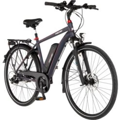 FISCHER Fahrrad Viator 2.0 Herren (2020), Pedelec