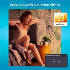 INNR WiFi Filament Vintage Globe E27, LED-Lampe 13 INNR WiFi Filament Vintage Globe E27, LED-Lampe -Philip Hye Geschaft INNR WiFi Filament Vintage Globe E27 LED Lampe@@1848141 4