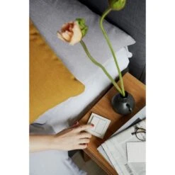 Senic Friends Of Hue Smart Switch, Taster -Philip Hye Geschaft Senic Friends of Hue Smart Switch Taster@@1874582 18