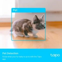 TP-Link Tapo C225, Netzwerkkamera 16 TP-Link Tapo C225, Netzwerkkamera -Philip Hye Geschaft TP Link Tapo C225 Netzwerkkamera@@100004322 6