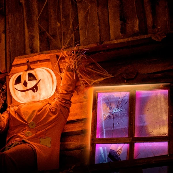 TP-Link Tapo L920-5, LED-Streifen 9 TP-Link Tapo L920-5, LED-Streifen – Bild 7