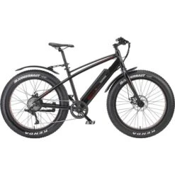 Telefunken Aufsteiger FM350 (2023), Pedelec