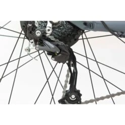 Telefunken Aufsteiger M923 (2022), Pedelec -Philip Hye Geschaft Telefunken Aufsteiger M923 2022 Pedelec@@1841690 8