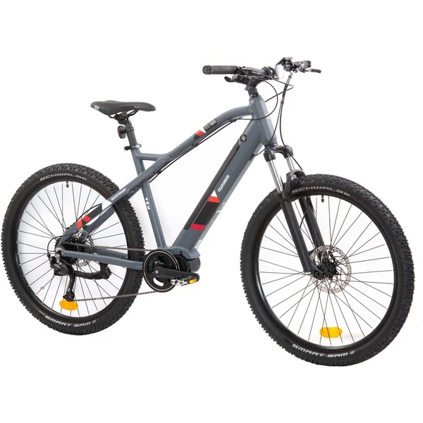 Telefunken Aufsteiger M925 (2022), Pedelec 4 Telefunken Aufsteiger M925 (2022), Pedelec – Bild 2