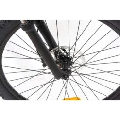 Telefunken Aufsteiger M925 (2022), Pedelec 13 Telefunken Aufsteiger M925 (2022), Pedelec -Philip Hye Geschaft Telefunken Aufsteiger M925 2022 Pedelec@@1841680 3