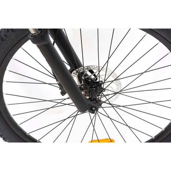 Telefunken Aufsteiger M925 (2022), Pedelec 6 Telefunken Aufsteiger M925 (2022), Pedelec – Bild 4