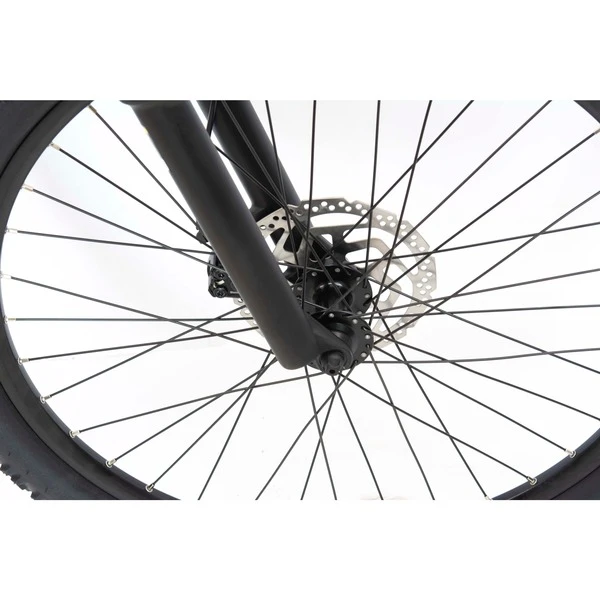 Telefunken Aufsteiger M935 (2022), Pedelec 8 Telefunken Aufsteiger M935 (2022), Pedelec – Bild 6